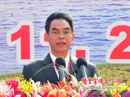 市委常委,常务副市长丁文,广东宝丽华集团有限公司董事局主席叶华能