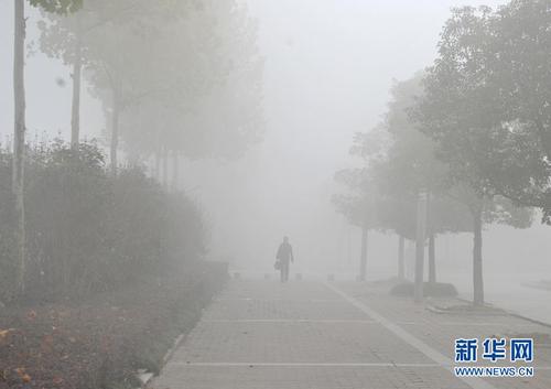 大雾笼罩我国东部地区能见度仅10米