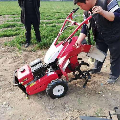 小麦地大马力除草机小型菜地旋耕机山地坡地松土机