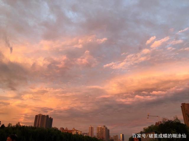 2020年8月13日郑州的晚霞