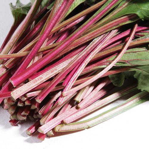 维真蔬菜 新鲜台湾红梗菜 农家种植红苔菜 无农药叶甜菜 保健特菜