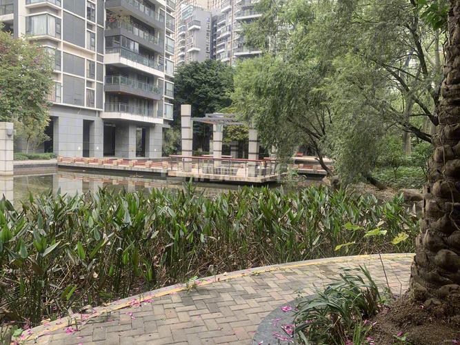 千灯湖 保利花园 三面采光 带双主套 送精装 望中心花园