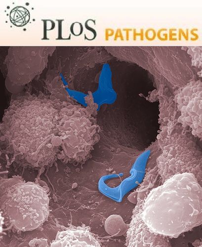 plos pathogens