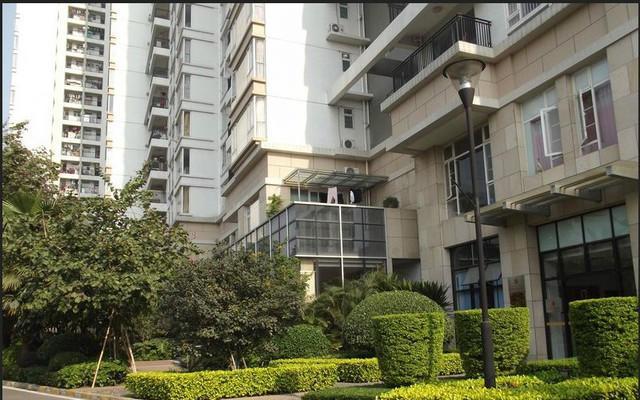 滨江豪园                  【东莞周边 沙田】 庒士路庄士新都