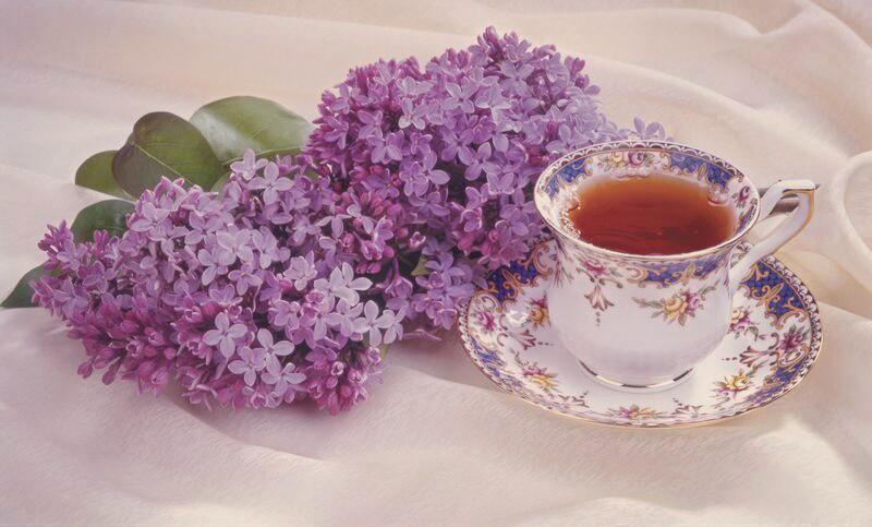 【花朵甜品】 『蓝色忧郁』 配方 薰衣草,洛神花,橘橙