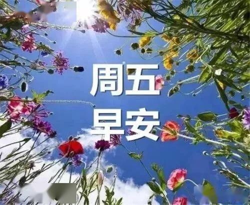 星期五最新早上好问候早安图片 漂亮清晨问候图片句子