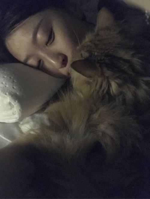 和猫一起睡觉是怎样的体验?