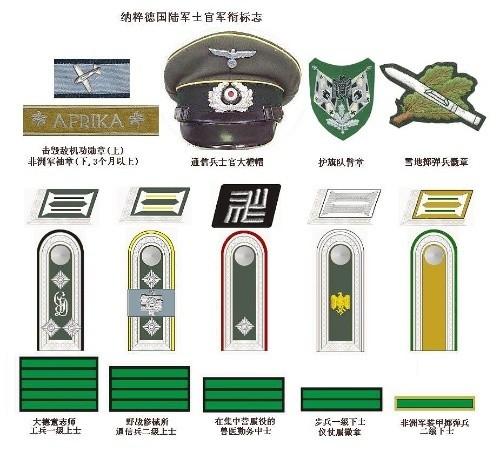 二战德国国防军和党卫军军衔,军徽一览