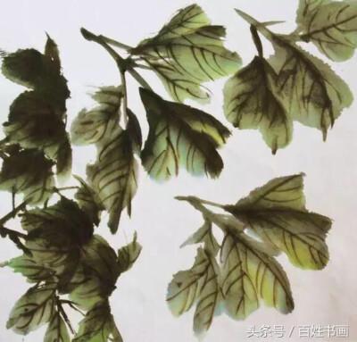 牡丹叶子的画法