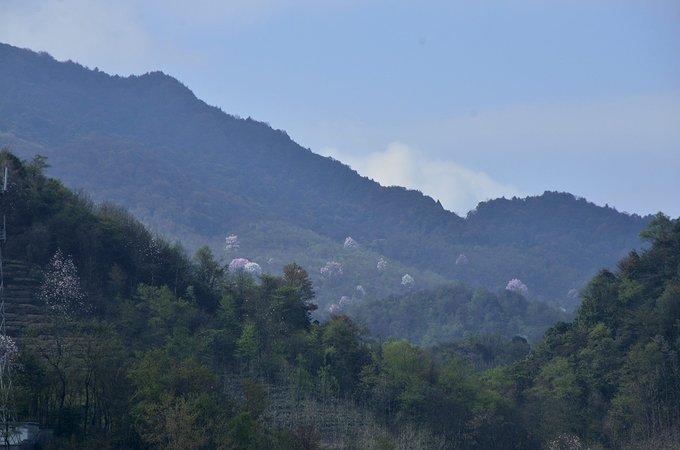江油吴家后山徒步