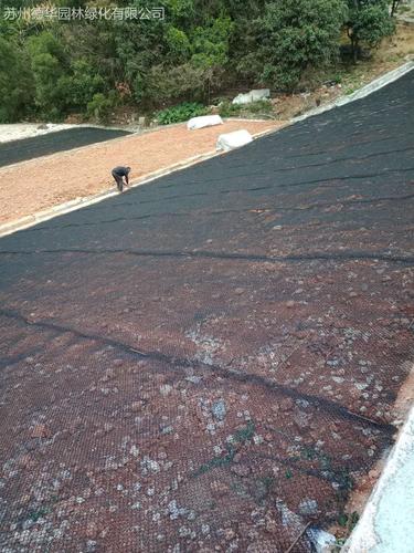 上海路烨柔性生态水土保护毯,进口标准水土保护毯