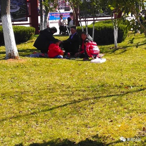 不文明行为曝光随意践踏绿化带花草毁容很受伤
