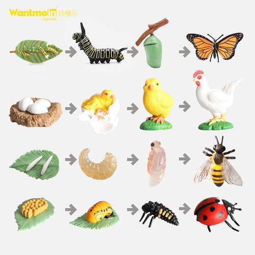 儿童仿真动物模型生长过程生命周期科教玩具蜘蛛瓢虫蜜蜂青蛙蝴蝶