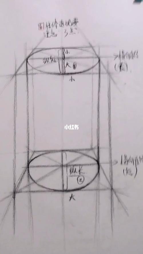 素描圆柱体透视讲解_透视_素描_文化_绘画