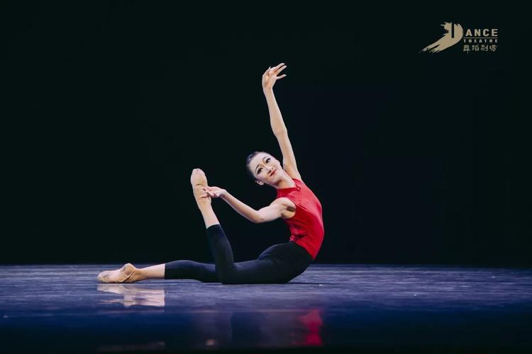 第十二届桃李杯① | 北京舞蹈学院剧目简介&剧照(古典