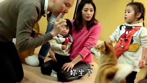 《妈妈是超人》咘咘调皮捣蛋令贾静雯伤神,bo妞大战狗狗结果哭了