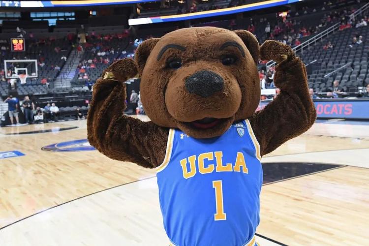 连你最爱的运动品牌都和ucla在一起了!全美公立第一的