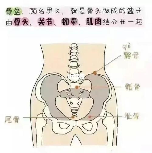 【德美骨雕】 95 95 95 骨盆复位就是把一个阴冷,潮湿,漏风漏雨