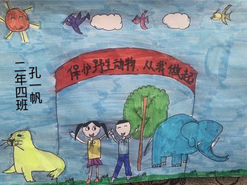 保护野生动物盘锦市实验小学的学生们在行动