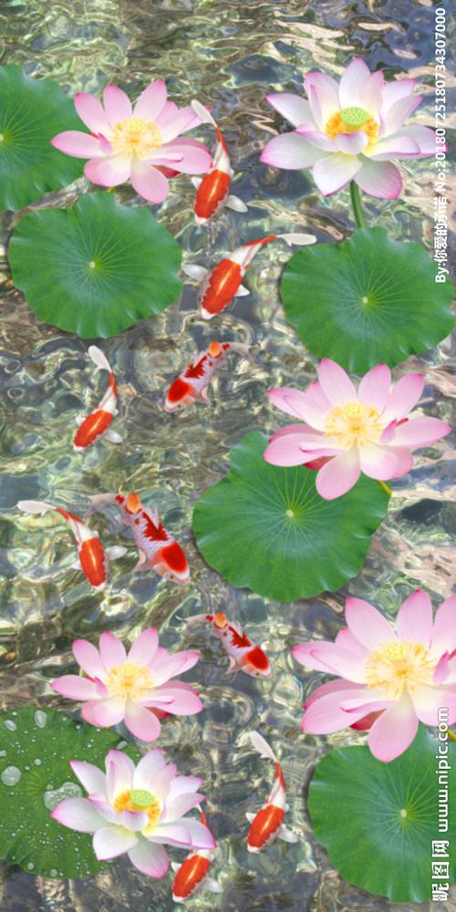 荷花九鱼图图片