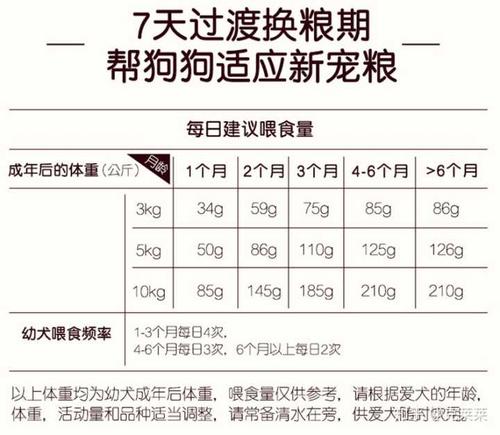 一个月的小泰迪狗粮喂多少粒?