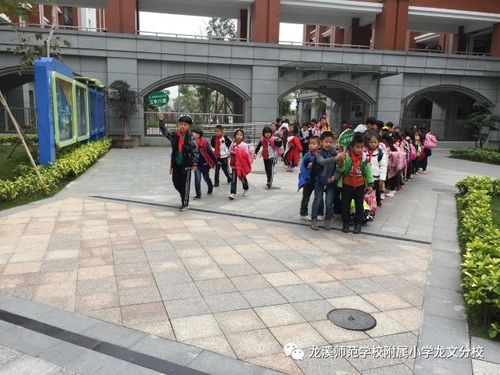 讲真我们是撸起袖子做安全龙师附小龙文分校综治安全宣传月工作总结