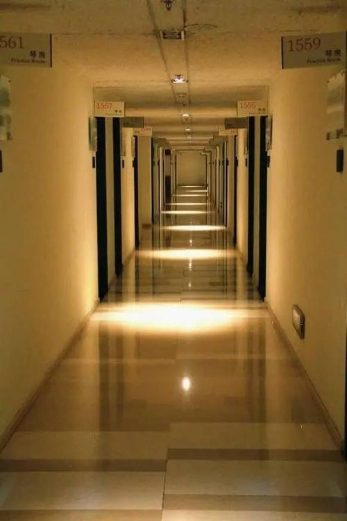 你所不知道的中央音乐学院?梦幻的央音vs难考的央音