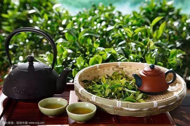 【镇来"四"】清明后,谷雨前.正是喝茶好时节!镇江这些名茶你都喝过吗?