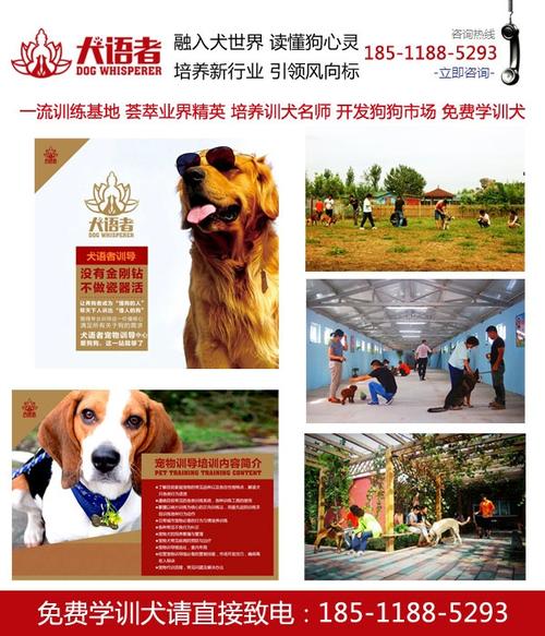 东德牧羊犬报价,东德,北京瑞阁宠物坎高犬 查看