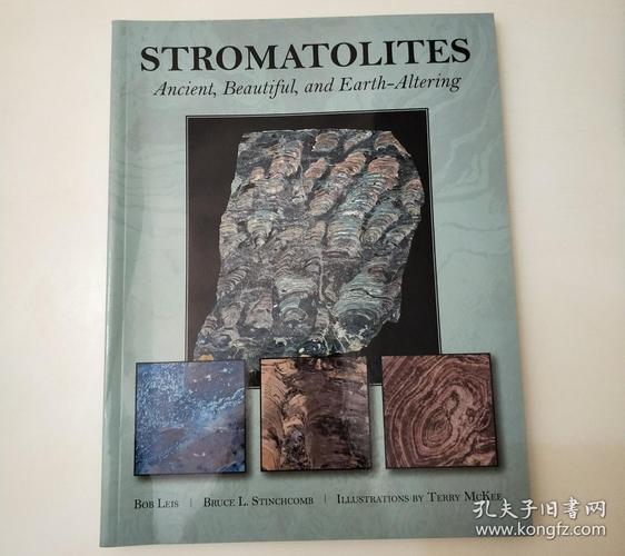 stromatolites: ancient, beautiful, and earth-altering