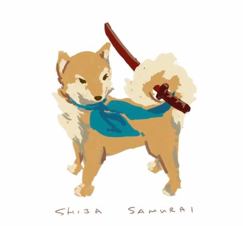 柴犬界的带刀武士拔刀动作帅翻网友