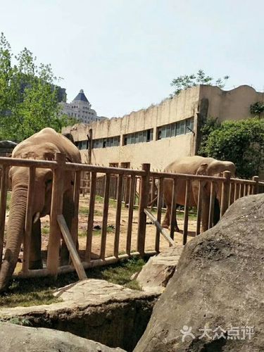 南昌新动物园图片 - 第76张