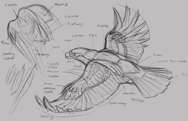 设计没灵感的时候可以从仿生学的角度切入#工业设计创意