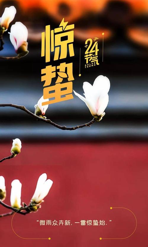 今日惊蛰