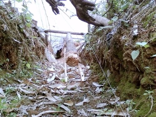 野鸡套 br> br> 野兔套的制作方法