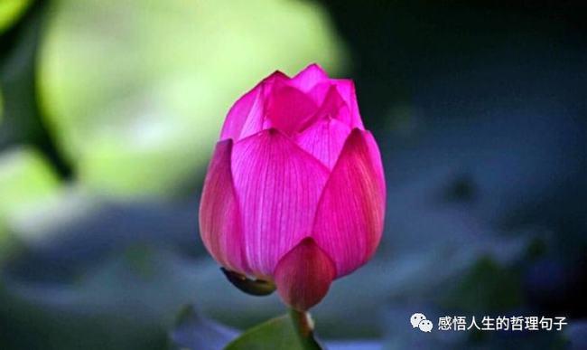 心不计较何来烦恼