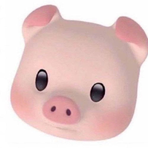 求这个小猪猪的头像!(已找到)