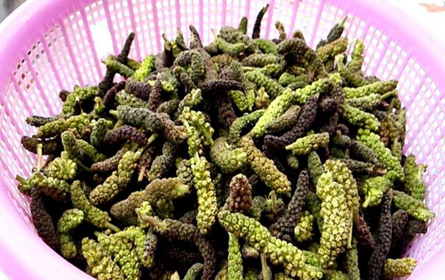 构树穗子蒸菜