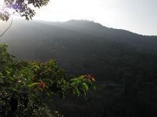 火炉山森林公园