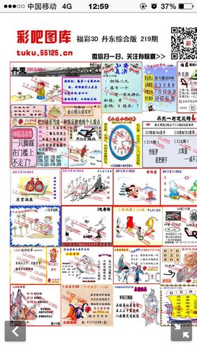 猜猜今天3d号是什么?