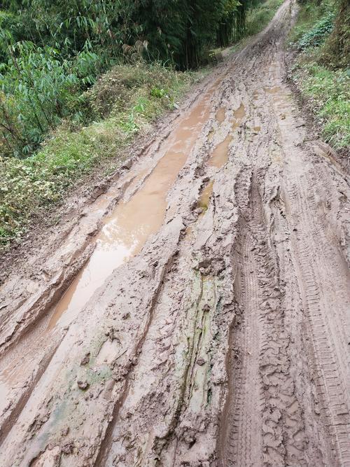 槐树村二社的烂泥巴路烂成这样,不摆了,哎!