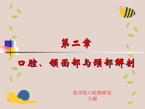 口腔,颌面部和颈部的解剖.ppt