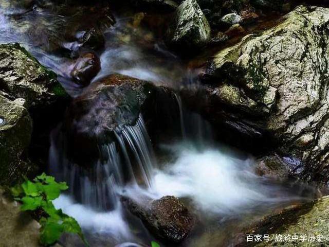 五一小长假,走进商洛柞水,看杜鹃花海,赏秀美秦川