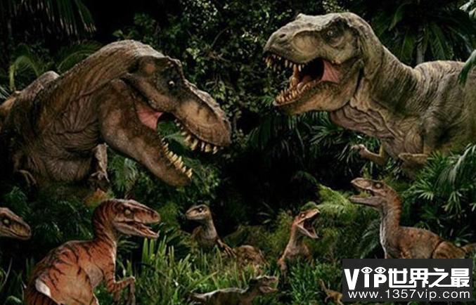 棘背龙和霸王龙实力比拼
