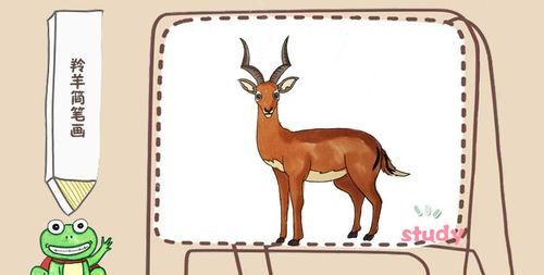 羚羊简笔画