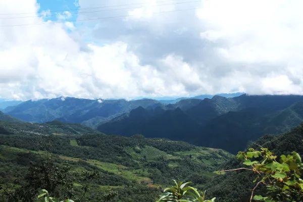 玉溪哀牢山自然保护区