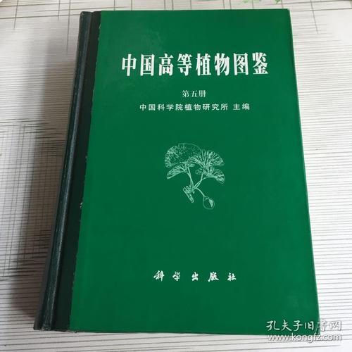 中国高等植物图鉴第五册
