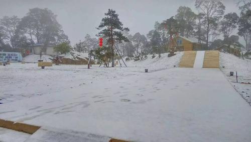 今天,温州突降"鹅毛"大雪,这些雪景照简直美翻了!