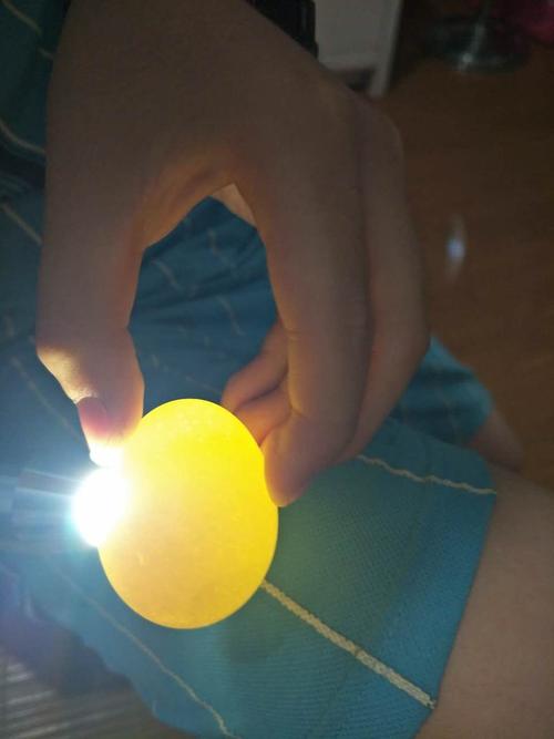 美文 孵小鸡观察记录 写美篇每120分钟机器自动辊轴翻蛋一次,17天落盘