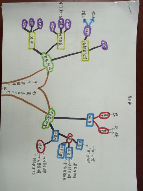 思维导图(七八上)